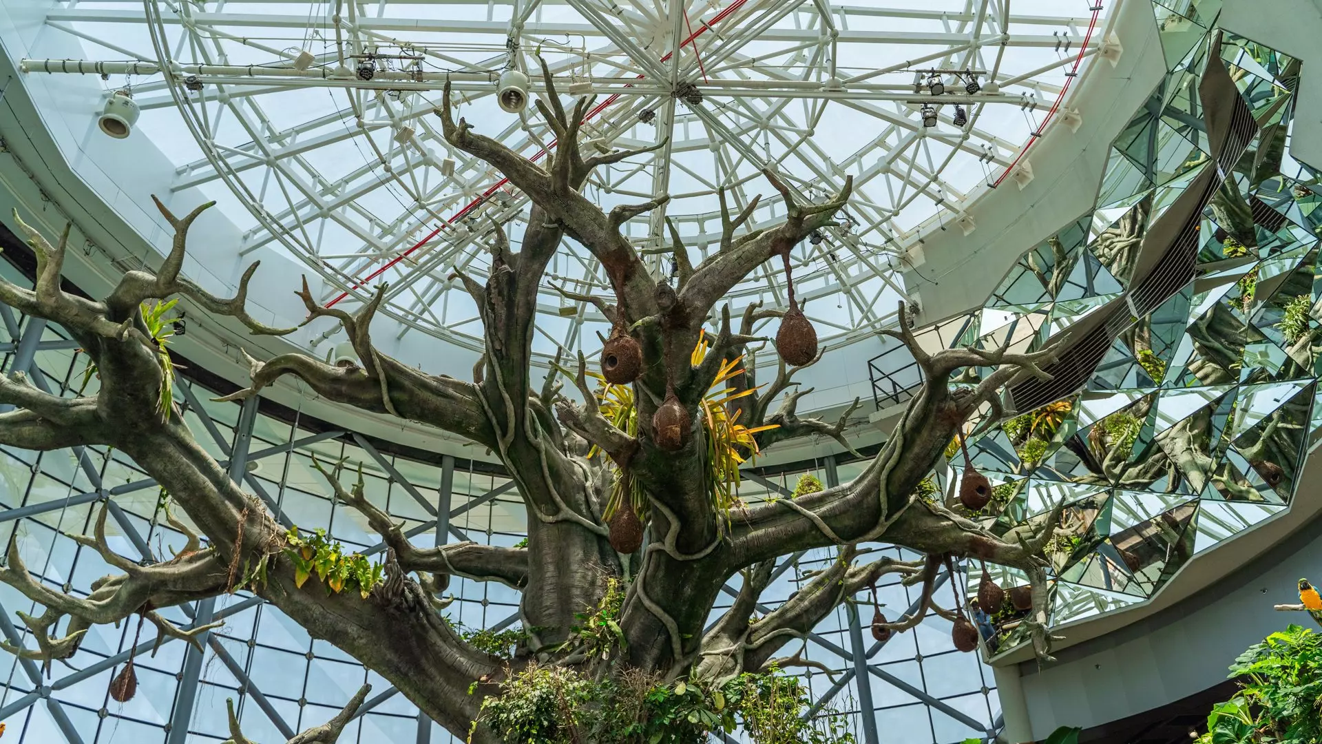 The Green planet Dubai
