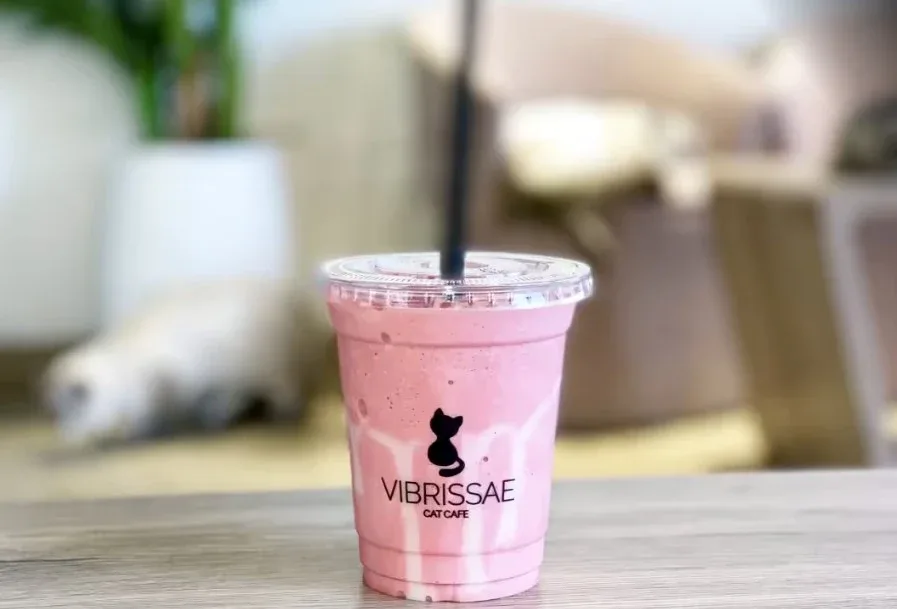 Cat Café Vibrissae