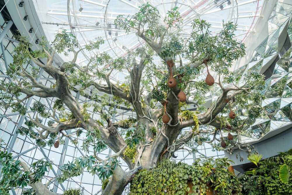 The Green planet Dubai
