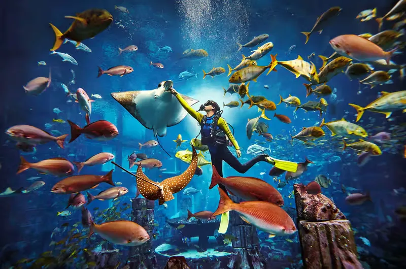 The Lost Chambers Aquarium