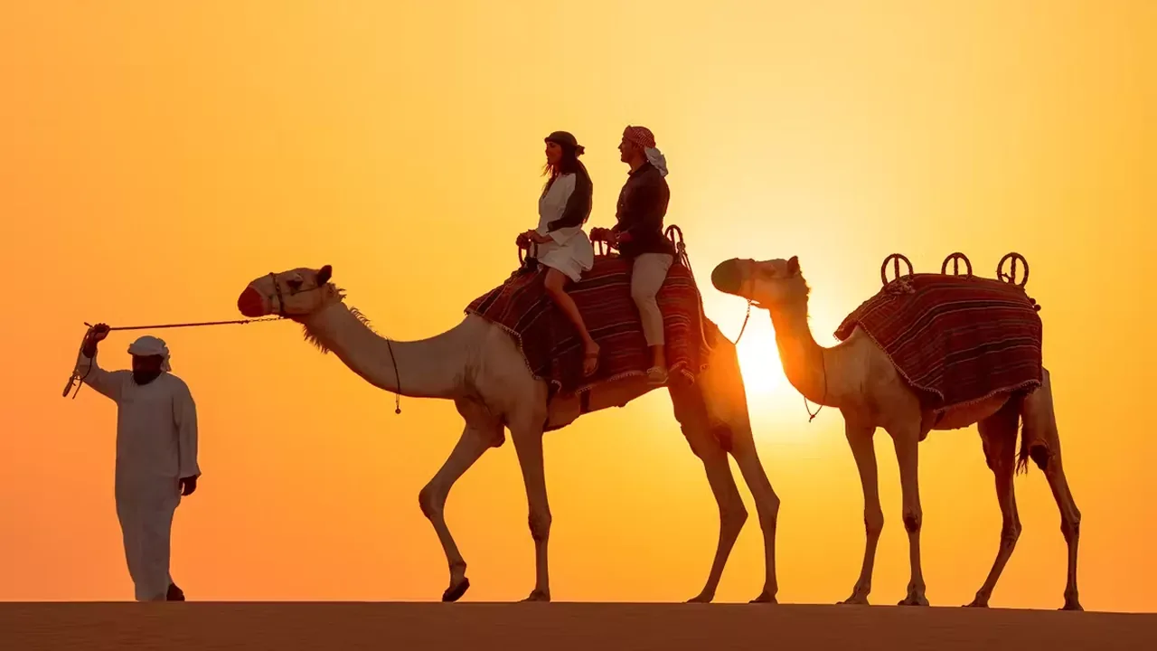 Luxury Desert Experience