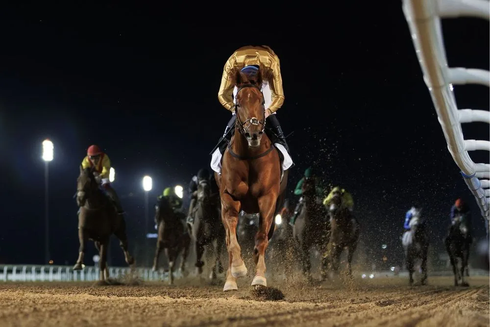Meydan Racecourse