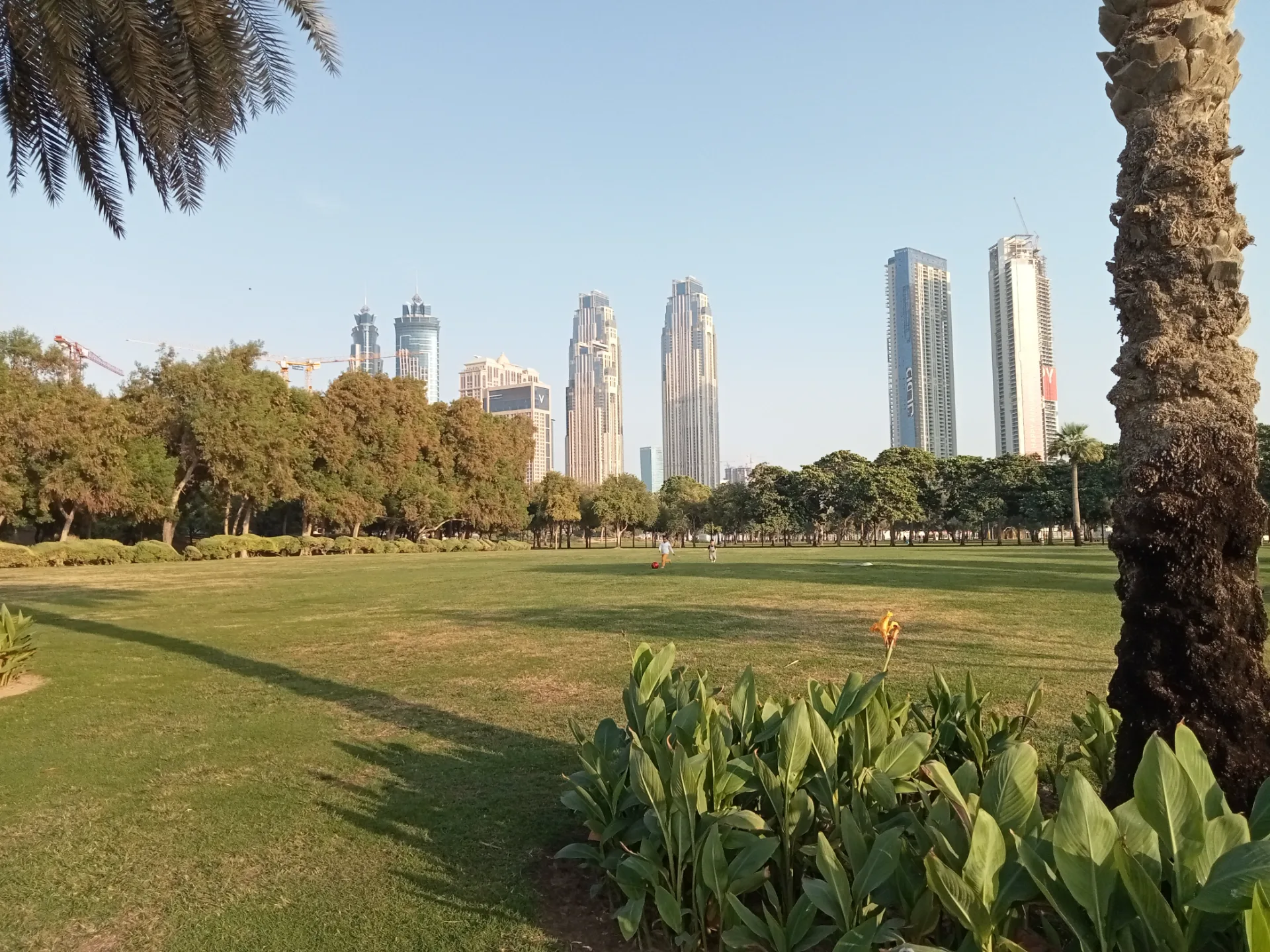 Al Safa Park